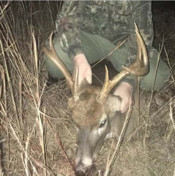 Meet your Posher, Matthew - Picture 1 of 1